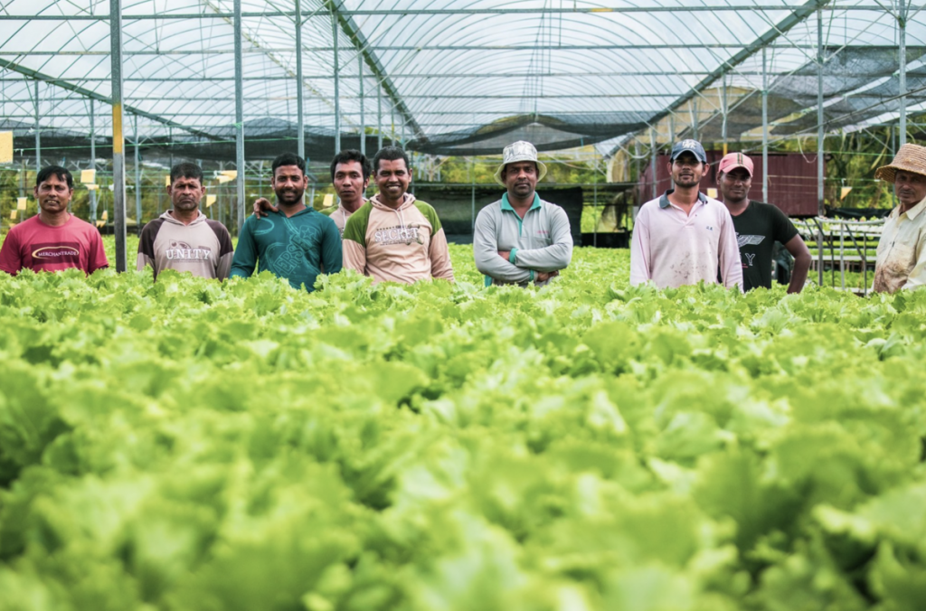 Benarkah Ekonomi Negara Terjejas Kerana Kekurangan Tenaga Kerja Asing Akibat COVID-19?
