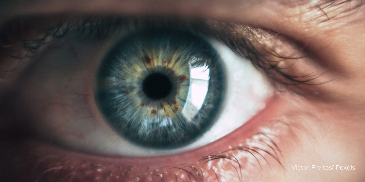 Adakah Manusia Hanya Mempunyai 5 Deria?