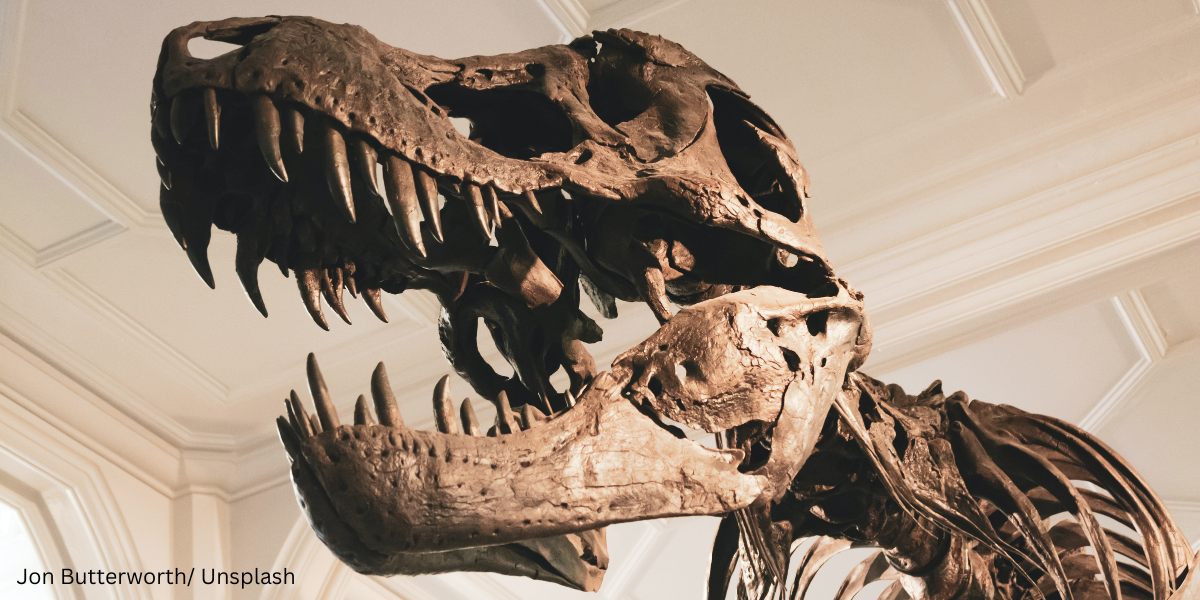 Adakah Dinosaur Wujud Di Zaman Kuno Malaysia?