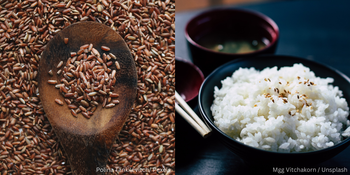 Adakah Beras Perang Lebih Berkhasiat Berbanding Beras Putih?