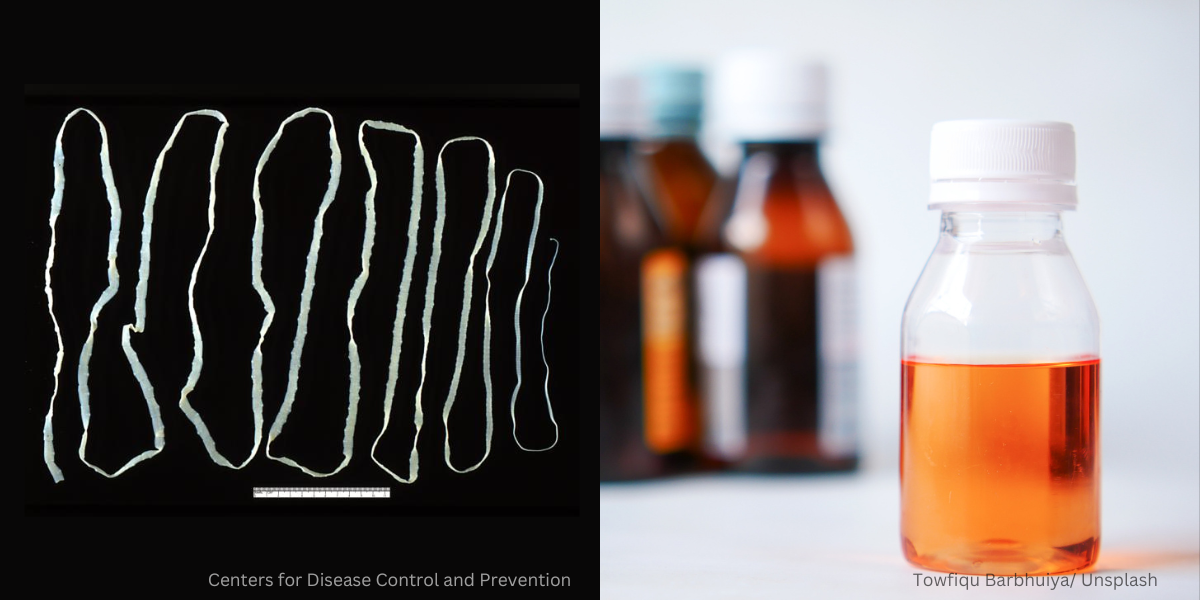 Adakah Orang Dewasa Perlu Makan Ubat Cacing?