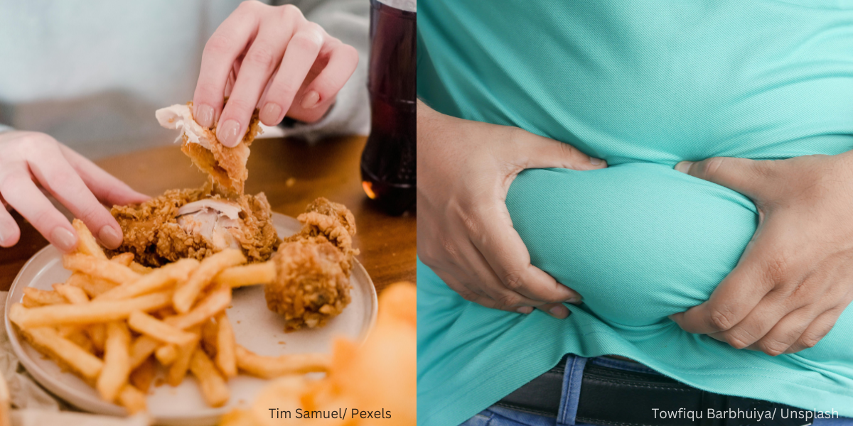 Benarkah Kulit Ayam Tidak Elok Untuk Kesihatan?