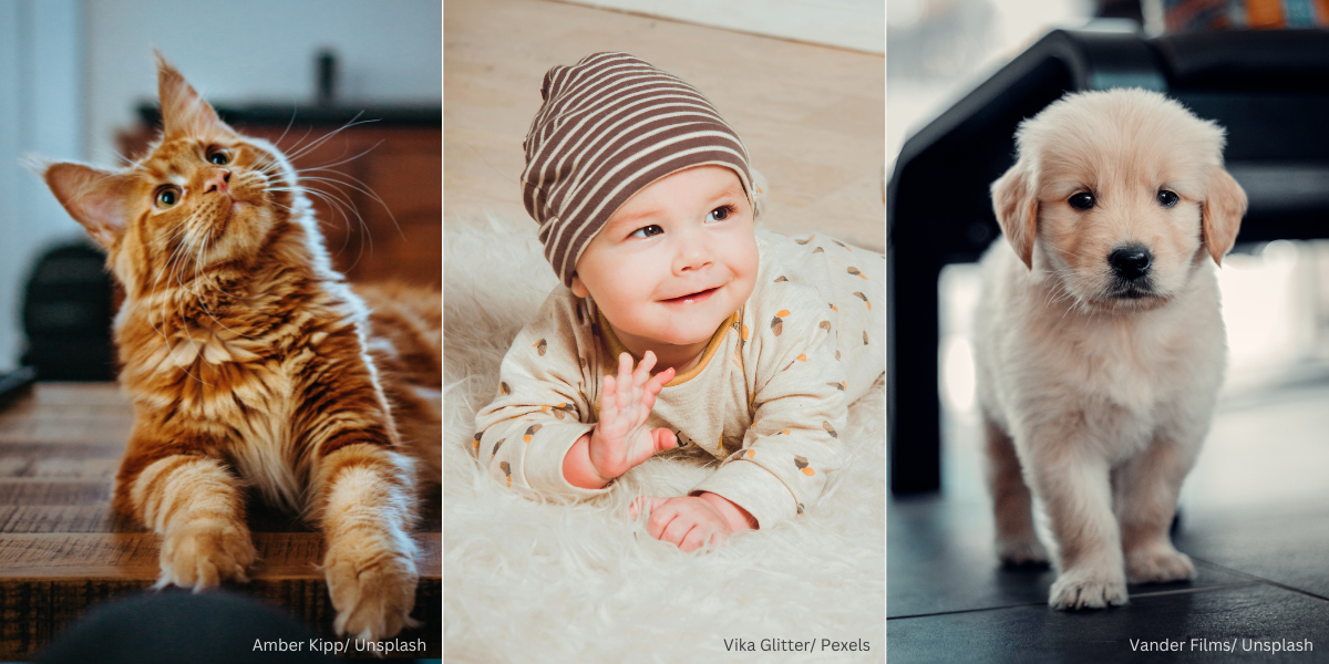 Benarkah Bayi Baru Lahir Seeloknya Tidak Didedahkan Kepada Haiwan Peliharaan?