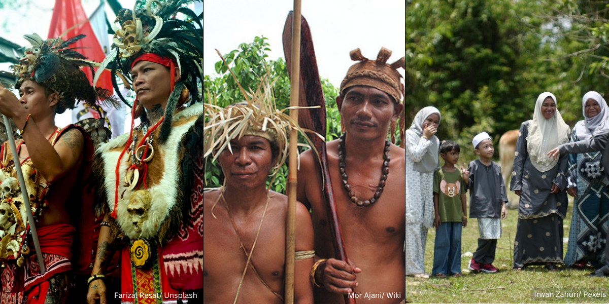 Hak Istimewa Bumiputera Satu Bentuk Polisi Aparteid?