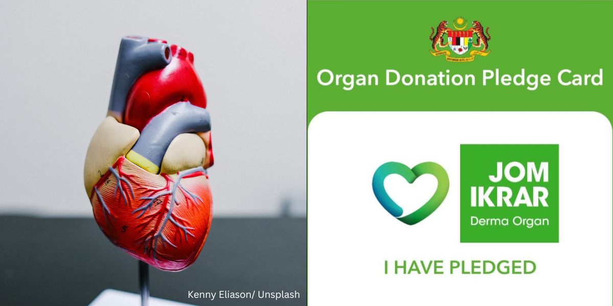 Adakah Umat Islam Boleh Menderma Organ?