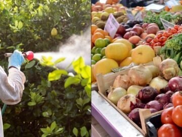 Betul Ke Residu Racun Perosak Pada Buah Atau Sayur Bermakna Ia Tidak Selamat Dimakan?